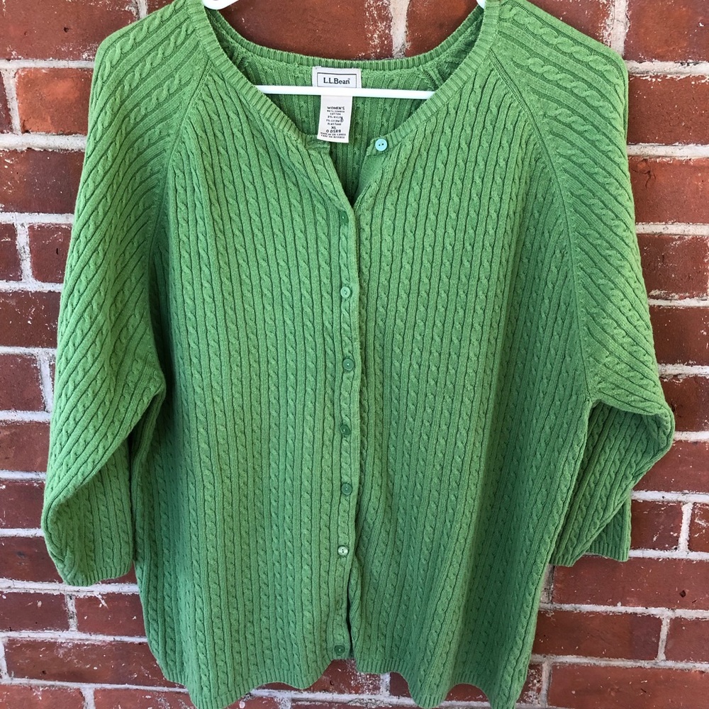 LL Bean 3/4 sleeved sweater blouse